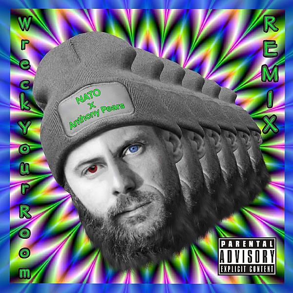 Wreck Your Room Remix